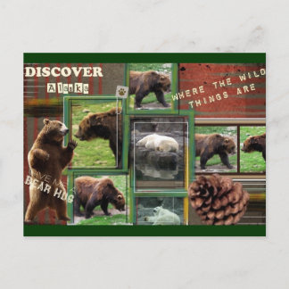 Carte Postale Alaska-Où Sont Les Choses Sauvages