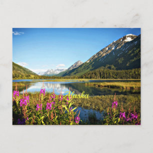 Carte Postale Alaska pittoresque, étiqueté