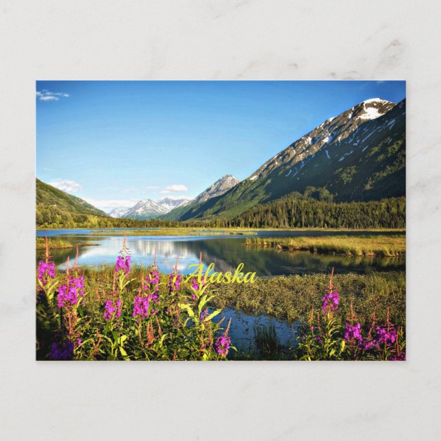 Carte Postale Alaska pittoresque, étiqueté (Devant)