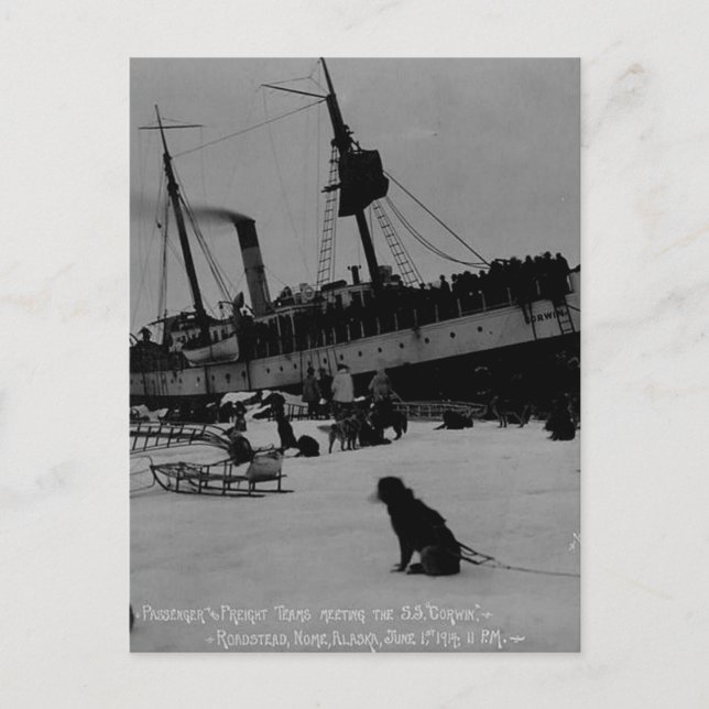 Carte Postale Alaska vintage (Devant)