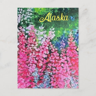 Carte postale Alaskan Fireweed