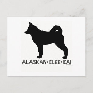 Carte postale Alaskan Klee Kai