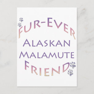 Carte Postale Alaskan Malamute Furever