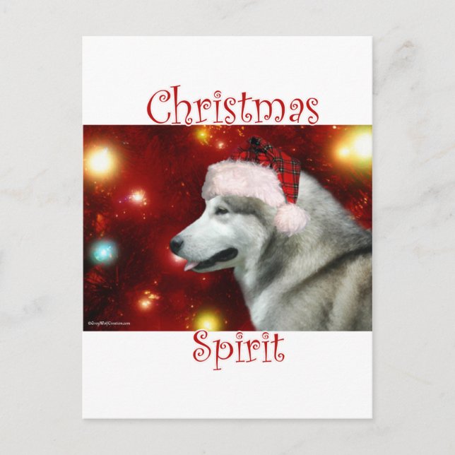 Carte Postale Alaskan Malamute Spirit (Devant)