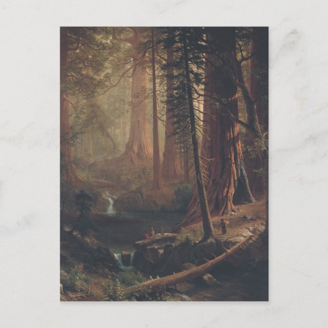 Carte Postale Albert Bierstadt Arbres séquoias géants de Califor (Devant)
