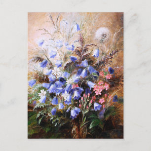 Carte Postale Albert Dürer Lucas : Harebells et Centaury