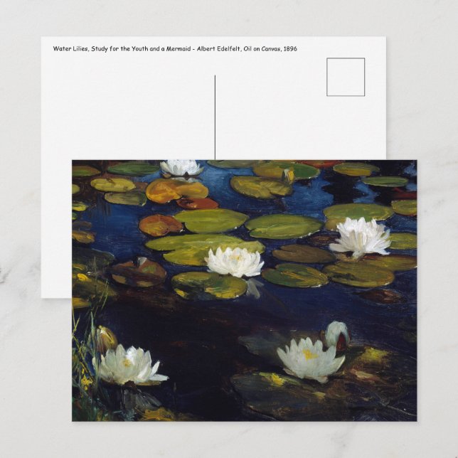 Carte Postale Albert Edelfeue - Lys d'eau, étude (Devant / Derrière)