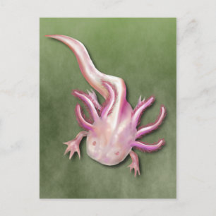 Carte Postale Albino Axolotl "Poisson de promenade" Art