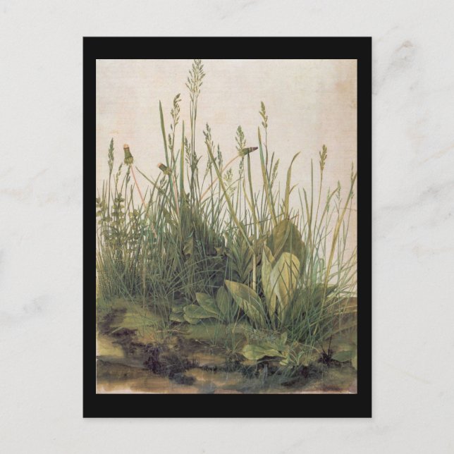 Carte Postale Albrecht Durer Grande pièce de Turf (Devant)