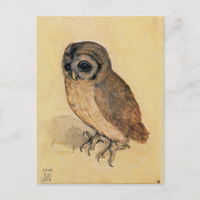 Carte Postale Albrecht Durer La Petite Chouette (Devant)