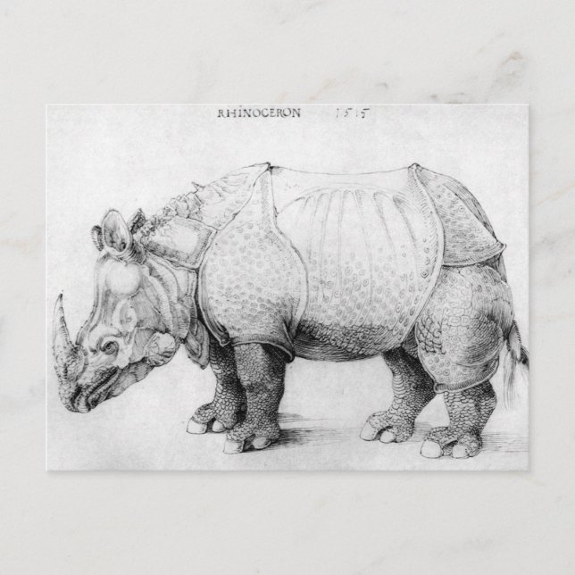 Carte postale Albrecht Durer Rhinoceros (Devant)