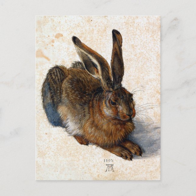 Carte Postale Albrecht Dürer Young Hare (Devant)