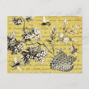 Carte Postale Album photo ancien Abeille et Fleurs française