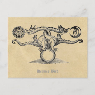 Carte Postale Alchimie des oiseaux d'Hermes