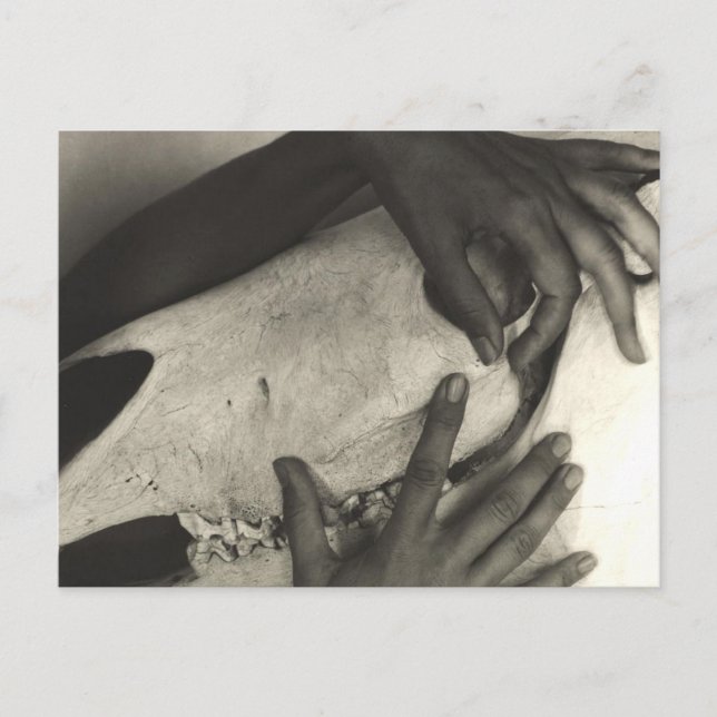 Carte Postale Alfred Stieglitz - Georgia O'Keeffe - Mains Et Ho (Devant)