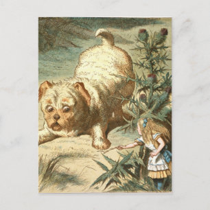 Carte Postale Alice