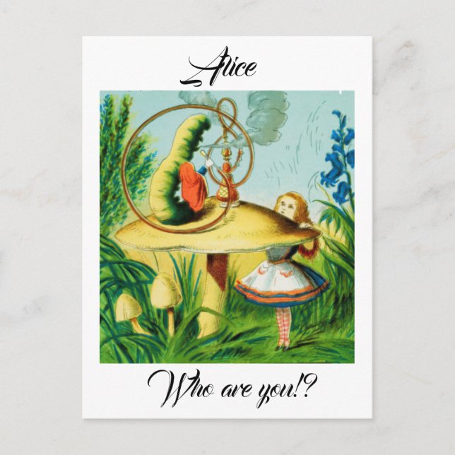 Carte Postale Alice au pays des merveilles - champignon, assis u (Devant)