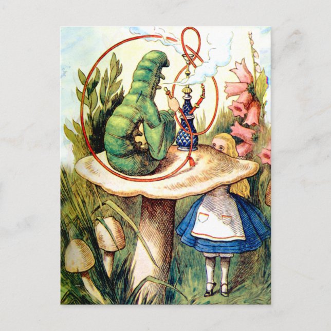 Carte Postale Alice Cherche Des Conseils D'Une Caterpillar (Devant)