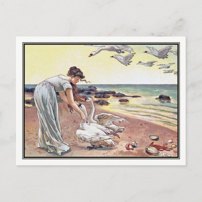 Carte Postale Alice Havers - Les cygnes blancs (Devant)