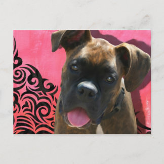 Carte Postale Alice le Boxer Pup par Jen Geraghty