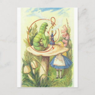 Carte Postale Alice rencontre la Caterpillar