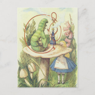 Carte Postale Alice rencontre la Caterpillar