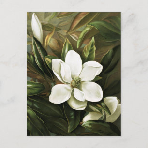 Carte Postale Alicia H. Laird : Magnolia Grandflora