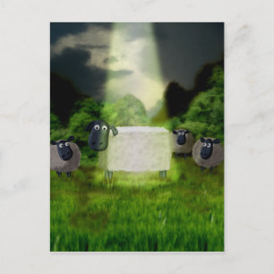 Carte postale Alien Sheep Experiment