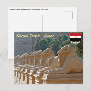 Carte Postale Allée des Sphinx à Karnak Temple - Égypte