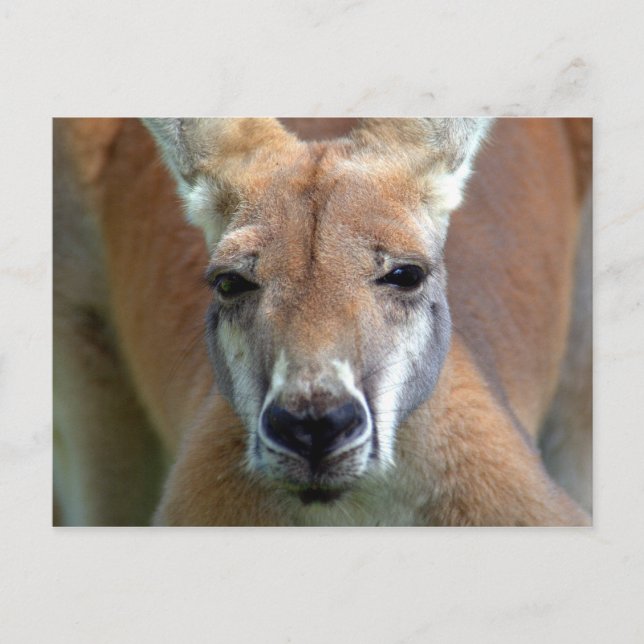 Carte Postale aller (Devant)