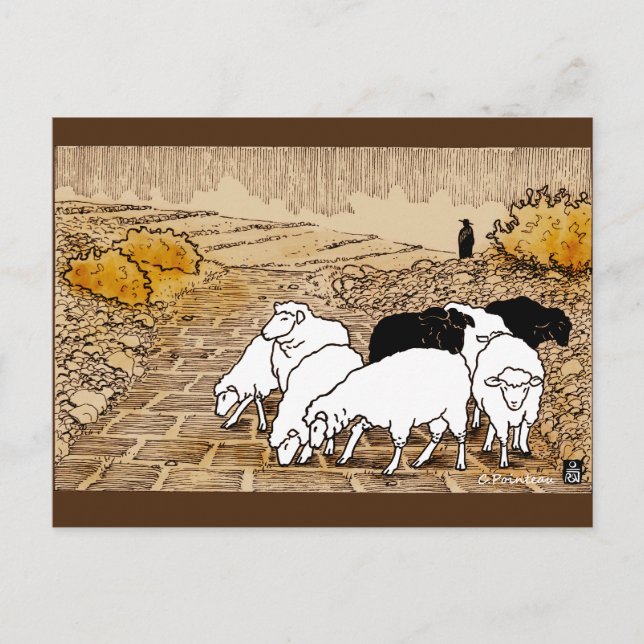 Carte Postale Aller Au Pâturage (Devant)