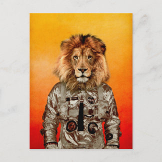 Carte Postale Aller au vol