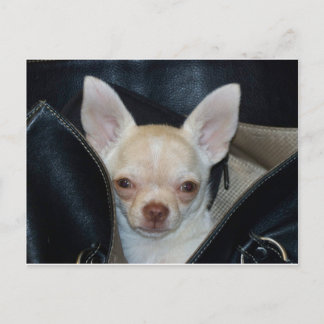 Carte Postale Aller faire un tour