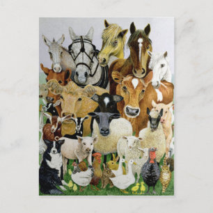 Carte Postale Allergies animales
