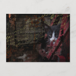 Carte Postale alley 007 postcard