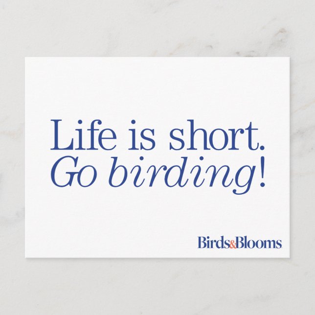 Carte Postale Allez Birding ! (Devant)