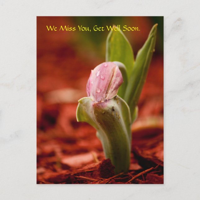 Carte Postale Allez-y bientôt (Devant)