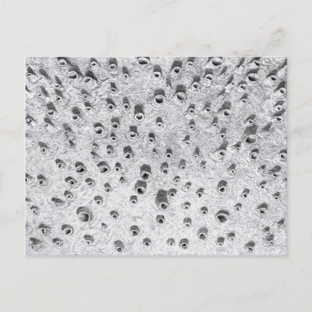 Carte Postale allí, un monde plus sec (Devant)