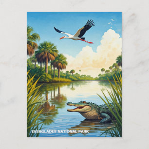 Carte Postale Alligator et Heron Everglades National Park