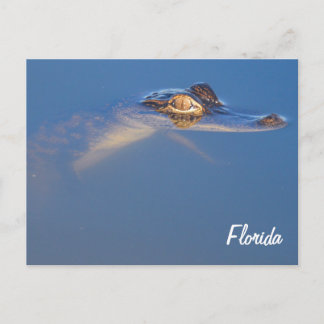 Carte postale Alligator pour bébé