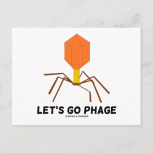 Carte Postale Allons-y Phage Virus Bactériophage