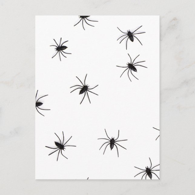 Carte Postale Allover Araignées Halloween (Devant)