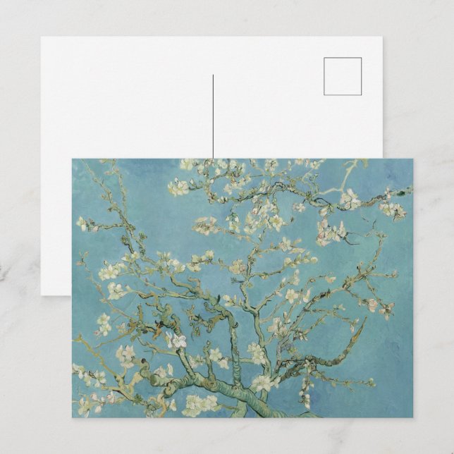 Carte Postale Almond Blossom : Vincent Van Gogh (Devant / Derrière)