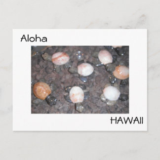 Carte Postale Aloha