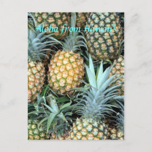 Carte postale "Aloha de Hawaii"