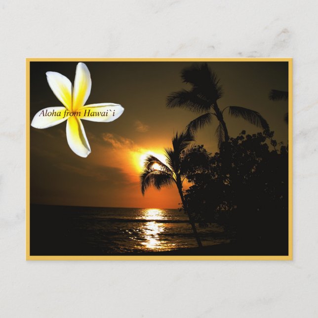 Carte Postale Aloha de Hawaii Plumeria Sunset (Devant)