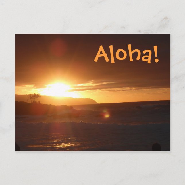 Carte Postale Aloha de Hawaii Postcard (Devant)