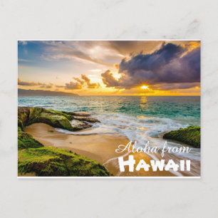 Carte Postale Aloha de Hawaii Postcard