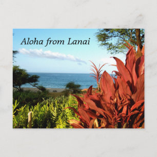 Carte Postale Aloha de Lanai Hawaii
