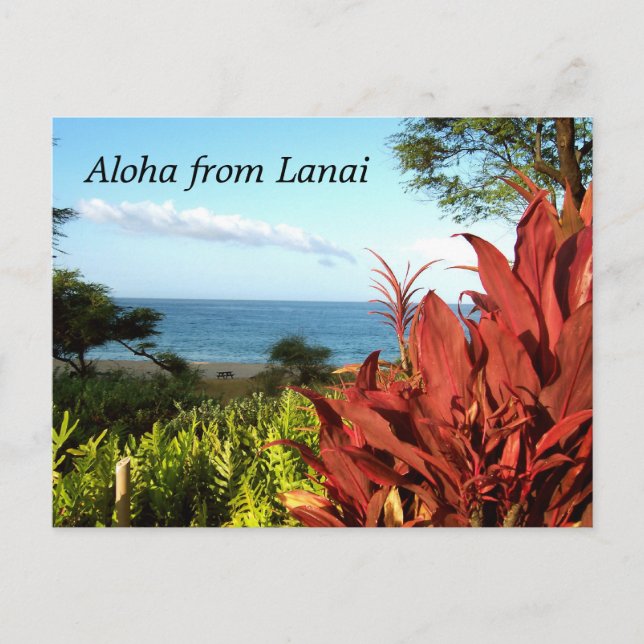 Carte Postale Aloha de Lanai Hawaii (Devant)